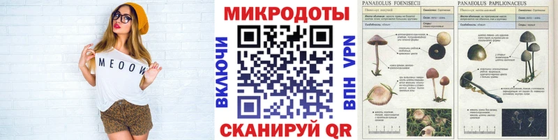 Галлюциногенные грибы MAGIC MUSHROOMS  Купить где  Семилуки 